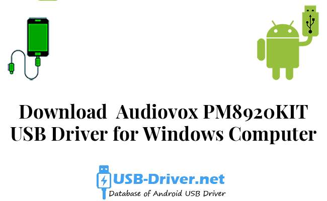 Audiovox PM8920KIT