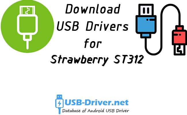 Strawberry ST312
