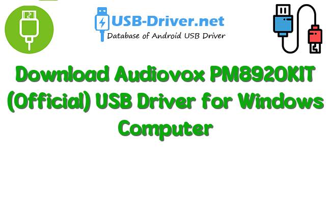 Audiovox PM8920KIT