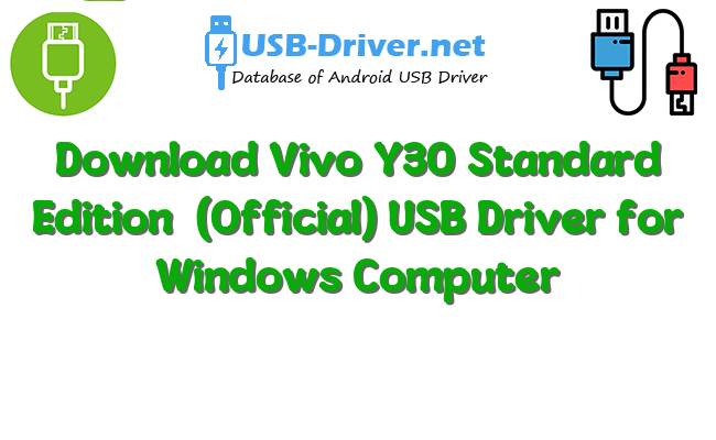 Vivo Y30 Standard Edition